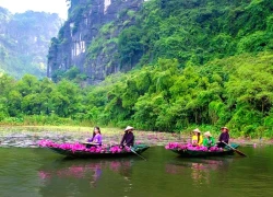 Ngắm nhìn hoa súng nhuộm hồng dòng Ngô Đồng ở Ninh Bình