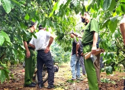 Người đàn ông tử vong bí ẩn trong vườn cà phê, trên ngực xăm số 1888