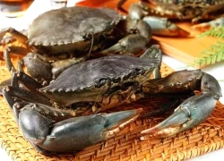 Những bộ phận của cua nên ăn và cần tránh để đảm bảo an toàn