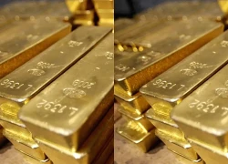 Phát hiện vàng thỏi và đồng xu khi đào đất vườn, trị giá lên đến 21 tỷ đồng