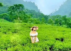 Qua Cửa Tử tới miền xanh