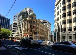 Quyết định mới của New Zealand khiến nhiều tổ chức ủng hộ quyền người chuyển giới lo ngại