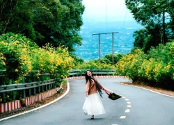 Rực sắc dã quỳ, du khách nườm nượp đổ về Ba Vì