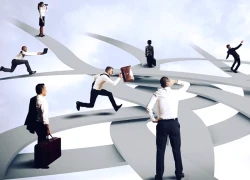 Ma Kết có cơ hội thay đổi nghề nghiệp, Sư Tử rất may mắn với tiền bạc ngày 19/11