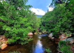 Suối Lồ Ồ: Làn nước mát giữa vườn quốc gia Núi Chúa