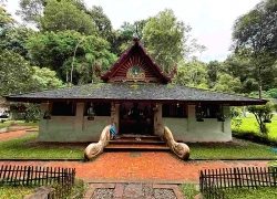 Thăm ngôi chùa cổ ẩn giữa rừng ở Chiang Mai