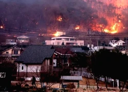 Thủ tướng Hàn Quốc chỉ đạo sơ tán khẩn cấp do cháy rừng