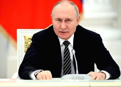 Tổng thống Putin cam kết hỗ trợ dài hạn cho nhà máy điện hạt nhân đầu tiên của Ai Cập