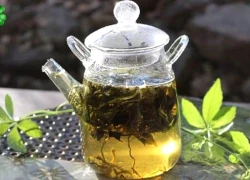 Trà giảo cổ lam có thật sự giúp giảm cân? Cách dùng an toàn