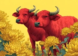 Trời càng lạnh, 3 con giáp này càng gặp may