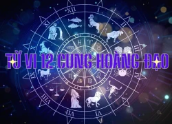 Tử vi ngày 19/11/2025 của 12 cung hoàng đạo: Ma Kết đón nhận nhiều may mắn