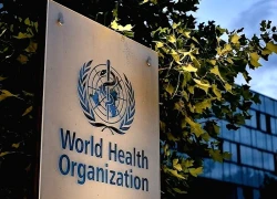 WHO: Kháng kháng sinh đang gây ra tình trạng khẩn cấp y tế toàn cầu
