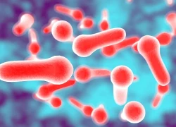 Cần xử lý ra sao khi nghi ngờ trẻ nhiễm botulism?