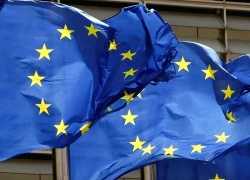 Cảnh báo về tác động từ kế hoạch hòa bình của Mỹ đến việc sử dụng tài sản Nga bị đóng băng