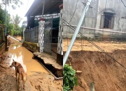 Sạt lở hơn 5 km bờ sông Cái Phan Rang, uy hiếp nhiều nhà dân