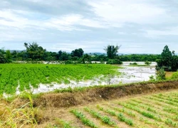 Hồ thủy điện trên sông Đồng Nai xả tràn không báo trước gây ngập