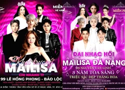 Mailisa chi hàng chục tỷ đồng để làm việc này