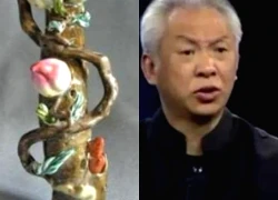 Mang "cành cây" đi thẩm định, nông phụ khẳng định do người ăn xin tặng: Chuyên gia quát lớn 'Cô nói dối!'