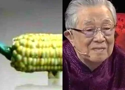 Mang "quả ngô" đi thẩm định cổ vật bị chuyên gia phán là đồ giả, cụ ông cười khẩy nói: "Có biết tôi là ai không?"