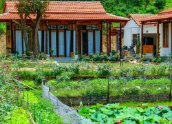 Nữ quản lý bỏ phố về quê để nghỉ hưu sớm với 11 tỷ: 3 năm sau hối hận quay lại thành phố tìm việc