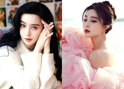 Phạm Băng Băng sau 7 năm bị 'phong sát'