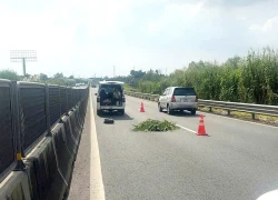 Phát hiện thi thể nam giới nghi là người nước ngoài trên cao tốc