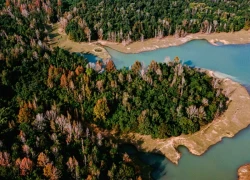 Quảng Trị: Khám phá rừng phong hương đổi màu trên mặt hồ