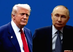 Tổng thống Putin chính thức phản hồi đề xuất hòa bình mới cho Ukraine của Mỹ