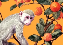 Tử vi 12 con giáp thứ Bảy ngày 22/11/2025: Công việc thuận lợi, tiền bạc rủng rỉnh