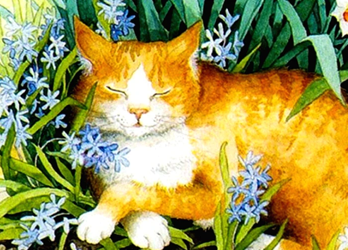 Tử vi tuần mới (24 - 30/11): 2 con giáp tài lộc thịnh thượng, tuổi Thìn gặp nhiều thách thức