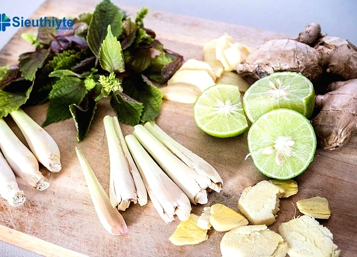 Xông hơi mặt bằng lá tía tô: Lợi ích bất ngờ cho da và sức khỏe