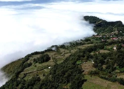 Y Tý vào mùa mây đẹp nhất, thôn Ngải Thầu Thượng hóa biển trắng cuộn trào