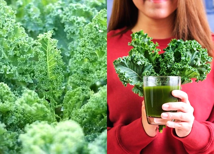 4 loại rau mùa đông tăng cường sức khỏe không thể bỏ qua