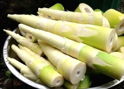 Ăn măng đúng cách để tránh ngộ độc: Những lưu ý cần nhớ