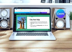 Bật mí cách chỉnh sửa file PDF trong Canva nhanh chóng