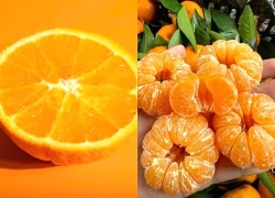 12 loại thực phẩm giàu Flavonoid giúp sống lâu, giảm nguy cơ mắc bệnh