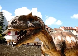 Dọc theo 'đại lộ khủng long'