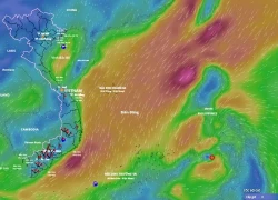 Dự báo 2 kịch bản về bão số 15: Ảnh hưởng 4 tỉnh hoặc tan trên Biển Đông