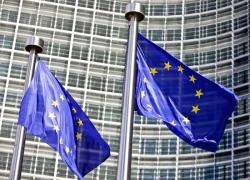 EU nhấn mạnh quyết tâm chấm dứt mọi hình thức bạo lực