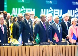 Hạt giống Luanda