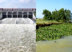 Hồ Dầu Tiếng xả tràn lần 8, tác động gì đến hạ du?