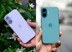 iPhone 17 cũ và iPhone 16 cũ chọn bản mới hay bản tiết kiệm