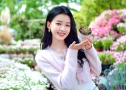 Trong 3 ngày cuối tuần (28, 29, 30 tháng 11), 3 con giáp được gọi tên trong bảng Vàng 9999, nhận tiền tỷ cuối ngày, mua nhà sắm xe là chuyện nhỏ