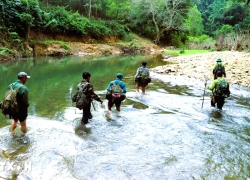 Khám phá vùng lõi Khu dự trữ sinh quyển Pù Huống của Nghệ An