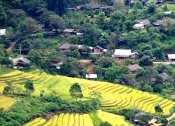 Lai Châu bứt phá du lịch cộng đồng từ "điểm tựa vàng" văn hóa