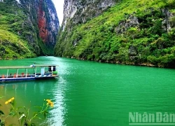 Mênh mang sắc xanh Nho Quế