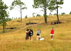 Ngắm đồi Phượng Hoàng vào mùa cỏ cháy đẹp nhất năm