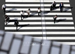 Nhật Bản lập cơ quan giống DOGE của Mỹ để ngăn chặn lãng phí ngân sách