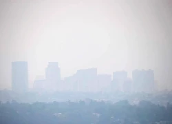 Ô nhiễm không khí mức 170, thủ đô Iran đóng cửa cơ sở công cộng và hạn chế xe cộ