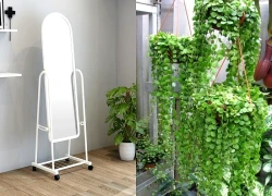 Ông bà dặn: 3 món tuyệt đối không mua về ban đêm - dễ rước khí lạ, hao lộc, mất tiền oan